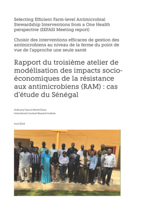 AtelierSEFASI_WorkshopReport_fr.pdf.jpg