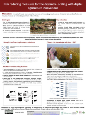 Banerjee_Risk ReducingMeasures.pdf.jpg