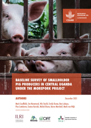 BaselineSurveyUgandaMorePork.pdf.jpg