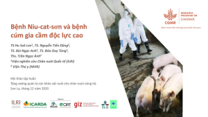 Benh_Niu_cat.pdf.jpg