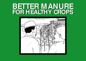 Better manure comic English.pdf.jpg