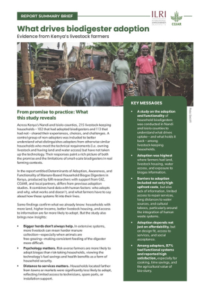Biogas adoption report summary.pdf.jpg