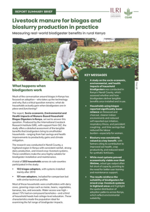 Biogas benefits report summary.pdf.jpg