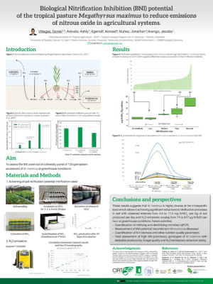 Biological Nitrification Inhibition (BNI) potential of the tropical pasture Megathyrsus maximus to reduce emissions of nitrous oxide in agricultural systems.pdf.jpg