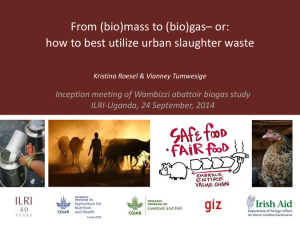 Biomass to biogas.pdf.jpg