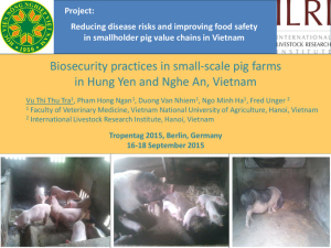 Biosecurity practices Vietnam pig farms.pdf.jpg