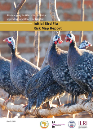 BirdFlu-REPORT-Cover.pdf.jpg