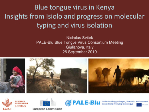 Blue tongue virus Kenya.pdf.jpg
