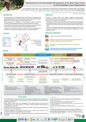 Bottlenecks_for_the_Sustainable_Development_of_the_Beef_Value_Chain.pdf.jpg