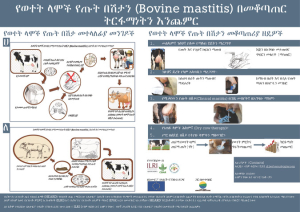 BovineMastitis_poster_am.pdf.jpg