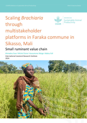 Brachiaria in Mali - Outcome Brief_PK.pdf.jpg