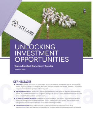 Brief stelarr country study colombia.pdf.jpg