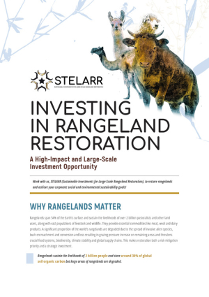 Brief stelarr introduction_single page.pdf.jpg