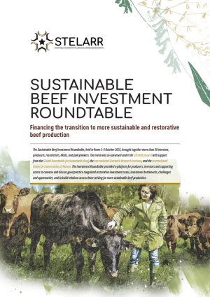 Brief stelarr sustainable beef investment roundtable.pdf.jpg