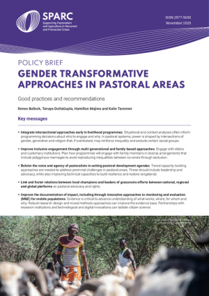 Brief_GenderTransformativeApproaches.pdf.jpg