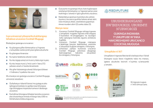 BrochureCocktailMuguga_Kirundi_Burundi.pdf.jpg