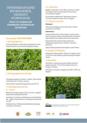 Brochure_Desmodium_intortum.pdf.jpg