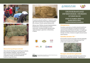Brochure_Foin.pdf.jpg