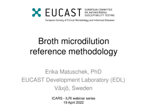 Broth microdilution.pdf.jpg