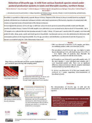 Brucella detection.pdf.jpg