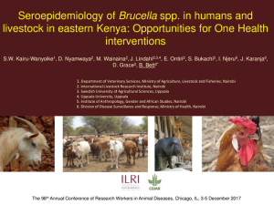 Brucella seroepidemiology.pdf.jpg