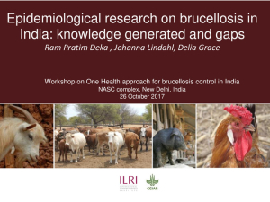 Brucellosis India.pdf.jpg