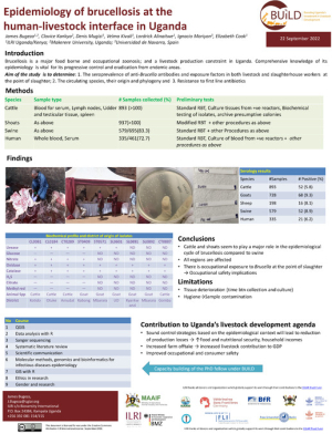 Brucellosis epidemiology.pdf.jpg