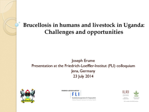 Brucellosis in Uganda.pdf.jpg
