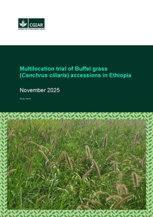 Buffel grass trial.pdf.jpg