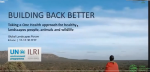 Building back better.png