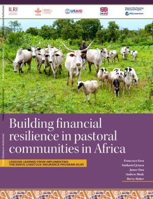 Building-Financial-Resilience-Kenya.pdf.jpg