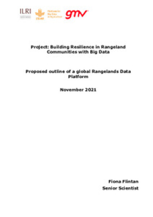 BuildingResilienceBigData.pdf.jpg