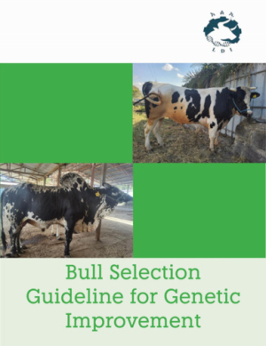 BullSelectionGuideline_LDI.pdf.jpg