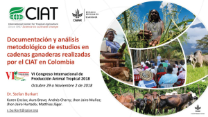 Burkart et al. 2018. Documentación y análisis metodológico de estudios en cadenas ganaderas realizadas por el CIAT en Colombia (002).pdf.jpg