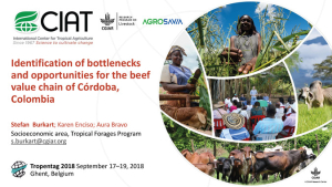 Burkart et al. 2018. Identification of bottlenecks and opportunities for the beef VC in Córdoba.pdf.jpg