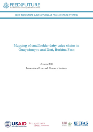 Burkina dairy value chain.pdf.jpg