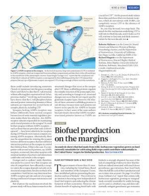 Butterbach and Kiese 2013_Biofuel production.pdf.jpg