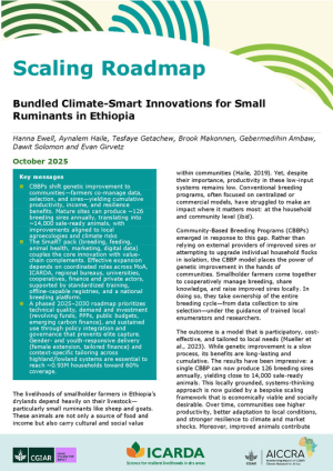 CBBP_ScalingRoadmap_Final.pdf.jpg