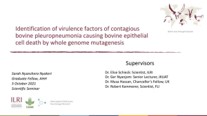 CBPP virulence.pdf.jpg