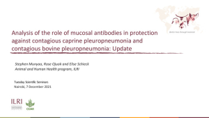 CCPP CBPP analysis.pdf.jpg