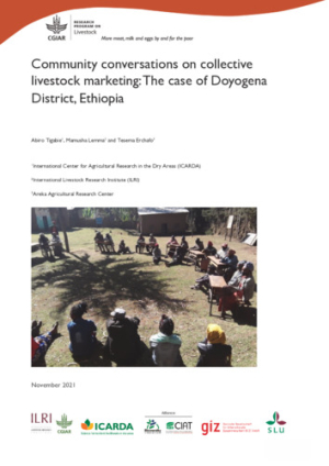 CCreport_collectiveMarketingDoyogena.pdf.jpg