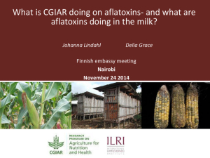 CGIAR aflatoxin research.pdf.jpg