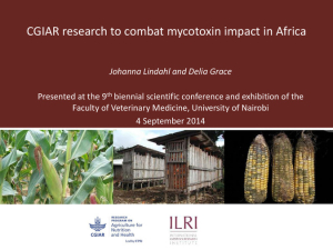 CGIAR mycotoxin research.pdf.jpg