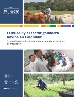 CIAT DT No. 498 (2).pdf.jpg