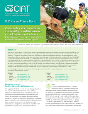 CIAT_PB 41_CADENAS_DE_VALOR_AMAZONIA_COLOMBIANA-vf.pdf.jpg