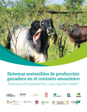 CIAT_VISION_AMAZONIA_SISTEMAS_SILVOPASTORILES.pdf.jpg