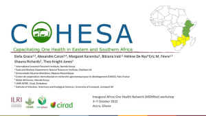 COHESA AfOHNet.pdf.jpg