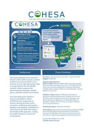 COHESA Brief - 2024.pdf.jpg