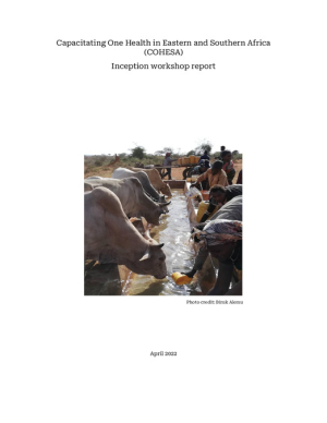 COHESA inception workshop report.pdf.jpg