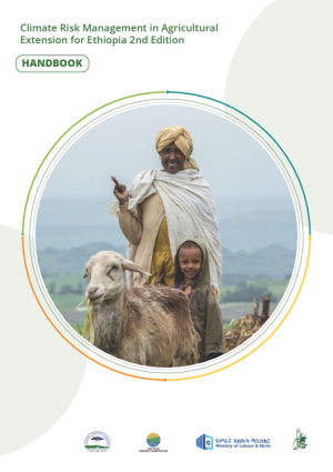 CRMAE Ethiopia Handbook_Jan14.pdf.jpg